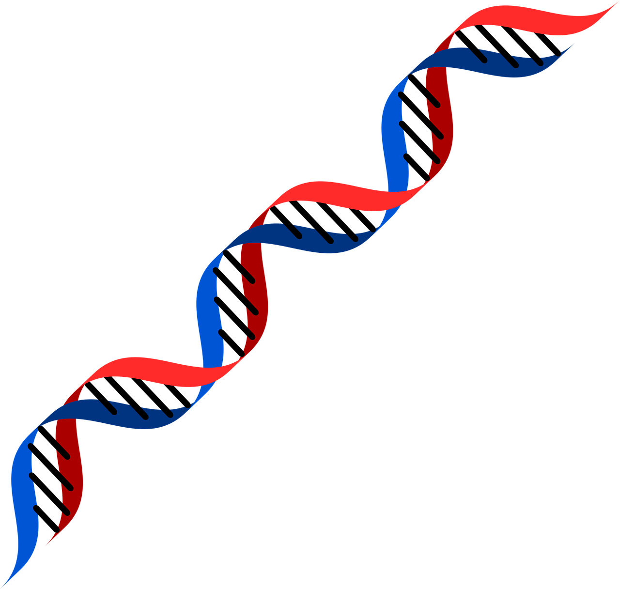 Heredity and Evolution